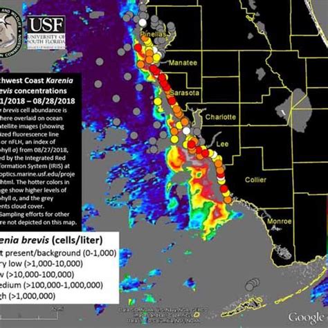 Posted 2/24/13. . Florida red tide and pregnancy